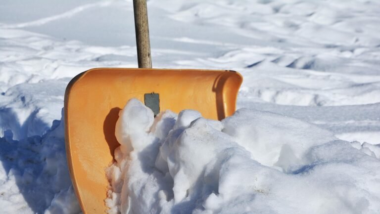 snow shovel, nature, winter service, winter, snow, clearance service, winter clearance service, shoveling, new zealand, snowed in, wintry